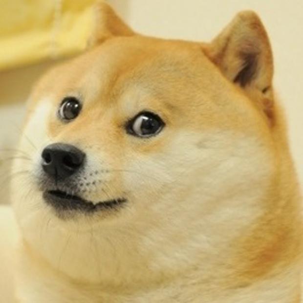 Doge-meme-4t0m5